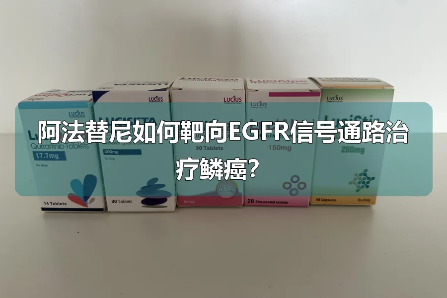 阿法替尼如何靶向EGFR信号通路治疗鳞癌？